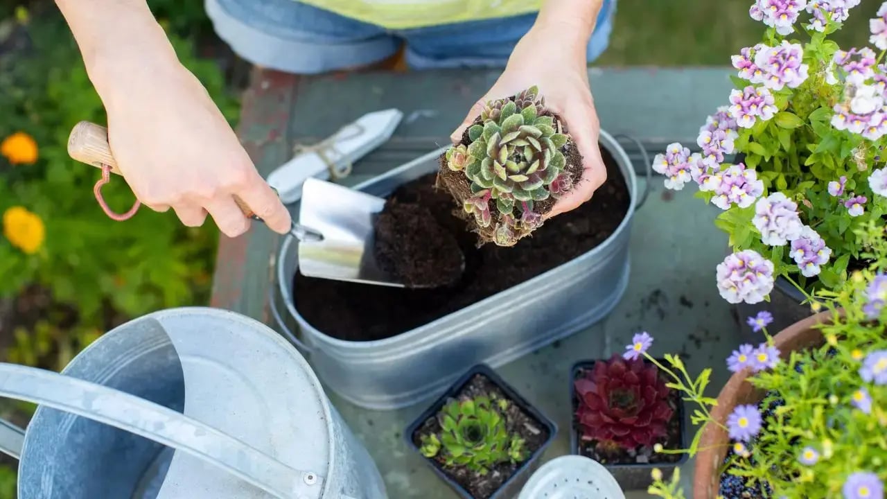 Agro Potting soil and Fertilizers industry