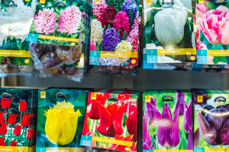 flower seeds